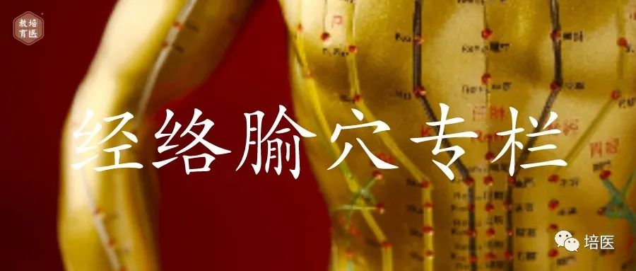 Health Preservation Strategies for a Harmonious Constitution