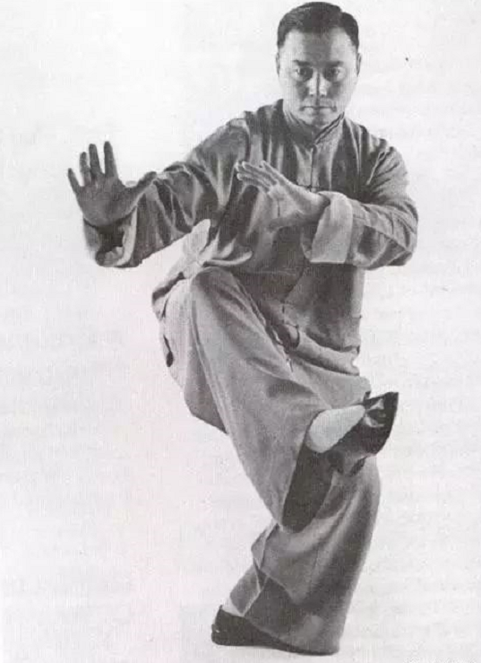 The Essence of Tai Chi (Understanding the Essence of Tai Chi through this Article)