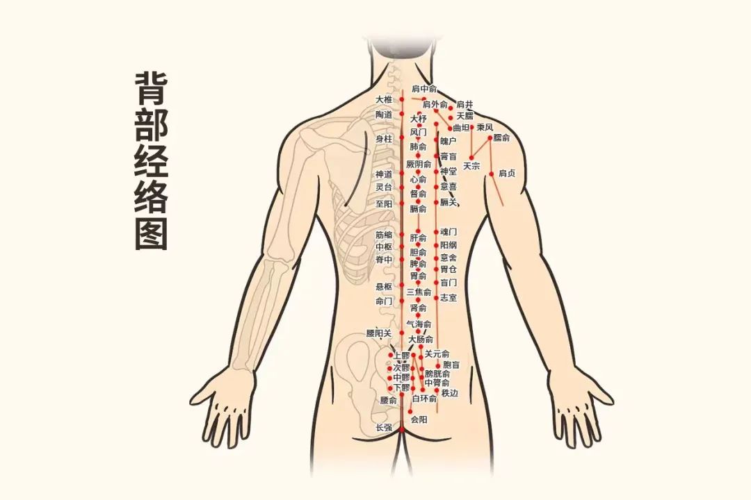 Special Techniques of TCM Nursing: Balance Cupping Therapy