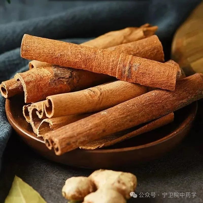 Exploring Cinnamon: Understanding Its Varieties and Uses in TCM