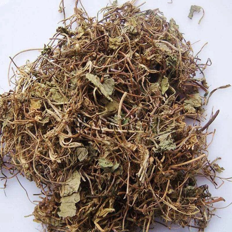 This Herb Not Only Relieves Mushroom Poisoning but Also Treats Hepatitis and Urinary Tract Infections!