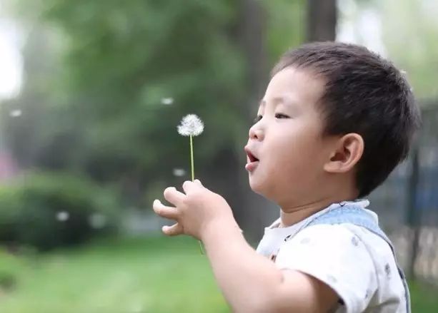 Daoist Secrets for Qi Enhancement: The Simplest Yet Effective Methods!