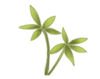 Blood Activating and Stasis Resolving Herbs