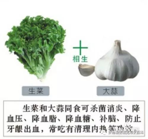 A Comprehensive Guide to Complementary and Contradictory Foods in TCM