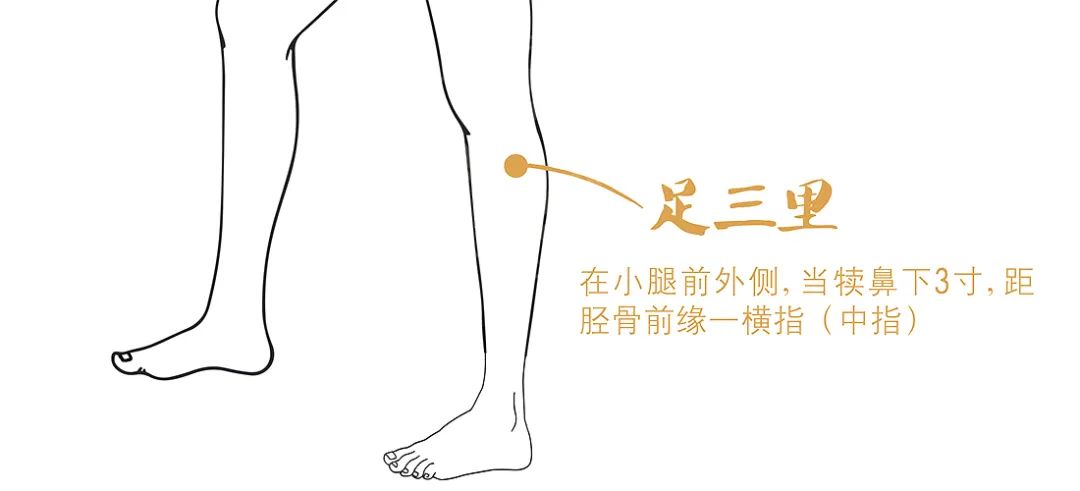 Effective Methods for Managing Spleen and Stomach Deficiencies and Disorders