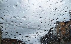 Understanding Phlegm-Dampness in Traditional Chinese Medicine