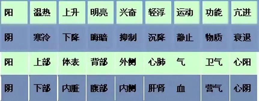 Understanding TCM Diagnosis: Eight Principles and Organ Differentiation to Enhance Your Diagnostic Skills