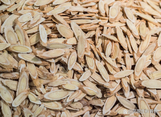 What Are the Benefits of Astragalus? Long-Term Consumption of Astragalus Water and Its Advantages