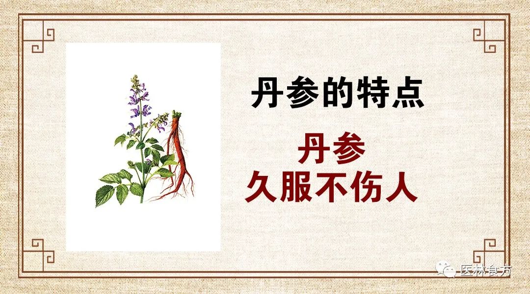 Dan Shen: A Key Herb for Cardiovascular Health in Traditional Chinese Medicine