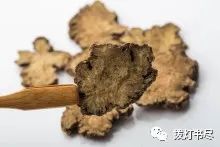 Chuanxiong (Ligusticum chuanxiong) - A Comprehensive Overview