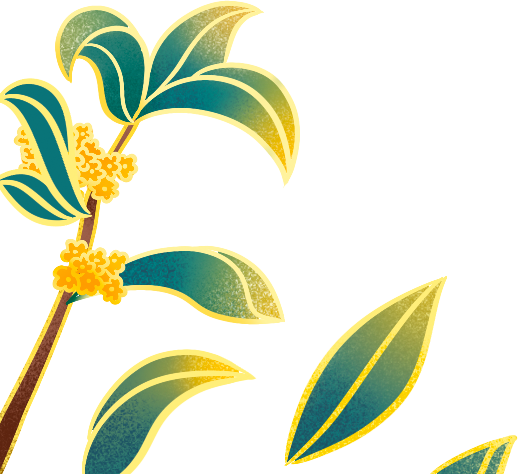 What is Dietary Nourishment? What is Dietary Therapy? The Differences Between the Two