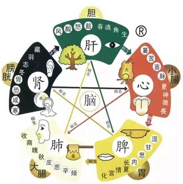 The Impact of Emotions on Health: Insights from Traditional Chinese Medicine