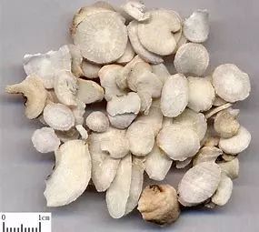 Bai Shao (White Peony) - A Comprehensive Overview