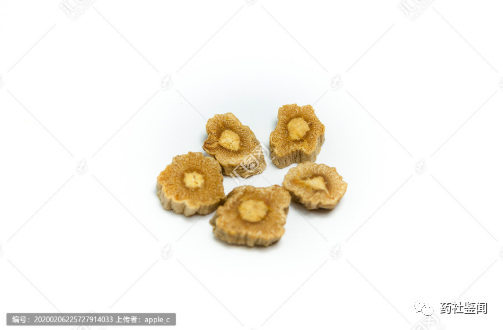 Traditional Chinese Medicine Herb - Dangshen (Codonopsis)
