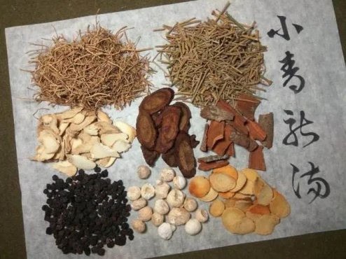 The Differences Between Fresh Ginger (Sheng Jiang) and Dried Ginger (Gan Jiang): How to Choose the Right One for You?