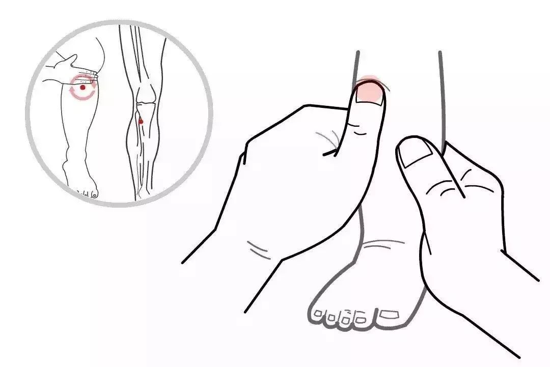 A Collection of 21 Common Pediatric Tuina Techniques with Animated Illustrations: Learning is Endless!