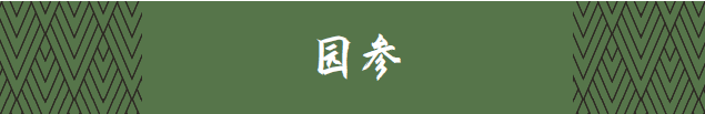 Exploring the Essence of Traditional Chinese Medicine: Ginseng