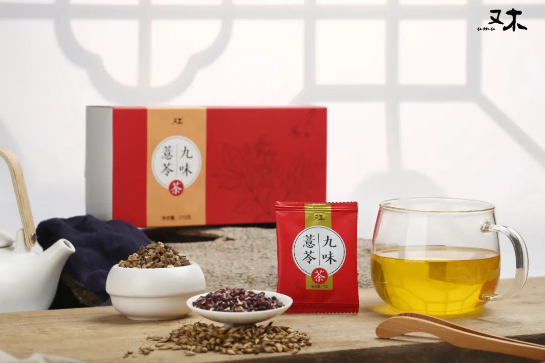 Understanding Damp-Heat and Cold-Damp in Traditional Chinese Medicine
