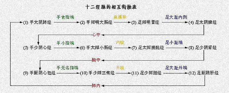 The Pathways, Connections, and Flow of Qi and Blood in the Twelve Meridians