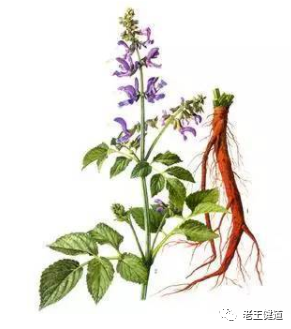 The Guardian of Cardiovascular Health