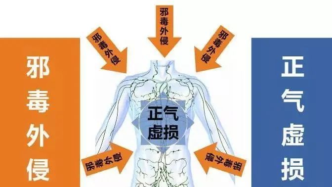 The Inheritance of Ma School of Traditional Chinese Medicine: New Perspectives on Supporting the Right Qi and Expelling Pathogenic Factors