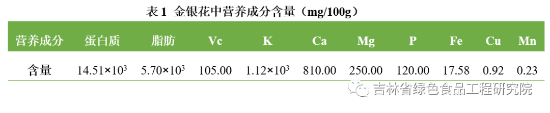 The Efficacy and Functions of Honeysuckle (Jin Yin Hua)