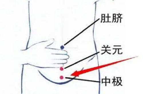 Nurturing Nine Types of Constitutions in Traditional Chinese Medicine