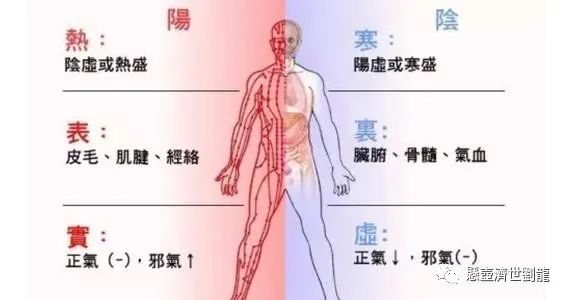 Analysis and Summary of the Eight Principles in TCM Diagnosis