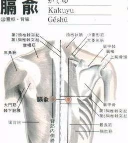 50 Common Acupuncture Points for Treating Various Ailments