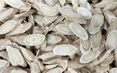 Huang Qi: The 'King of Qi-Boosting' in Traditional Chinese Medicine, How Much Do You Know?