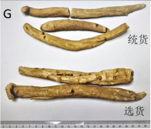 Premium Chinese Medicine | Bai Shao (White Peony)