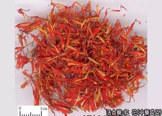 Traditional Chinese Medicine: Safflower (Honghua)