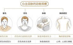 Foundations of Traditional Chinese Medicine: Functions of the Five Organs and Six Bowels