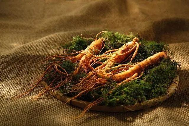 Qi Deficiency Constitution: Selection of Ginseng Varieties for Insufficient Zhongqi, Yuanqi, and Heart Qi