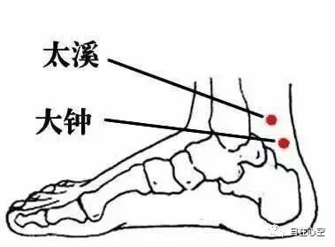 The Fifteen Collaterals in Traditional Chinese Medicine