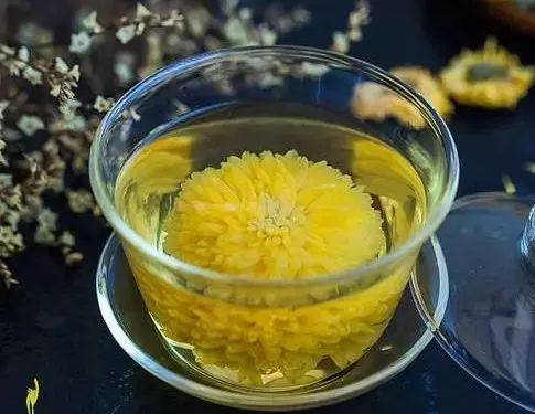Understanding Wind-Cold and Wind-Heat Colds in Traditional Chinese Medicine