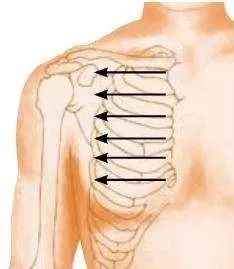 Key Techniques for Gua Sha