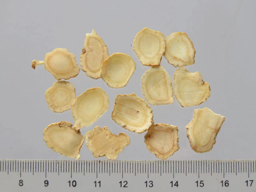 The Benefits of Astragalus: A Shield Against Illness