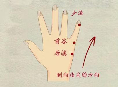 Traditional Chinese Medicine: The Five Organs and Six Bowels on Your Hands - Daily Gua Sha for Health