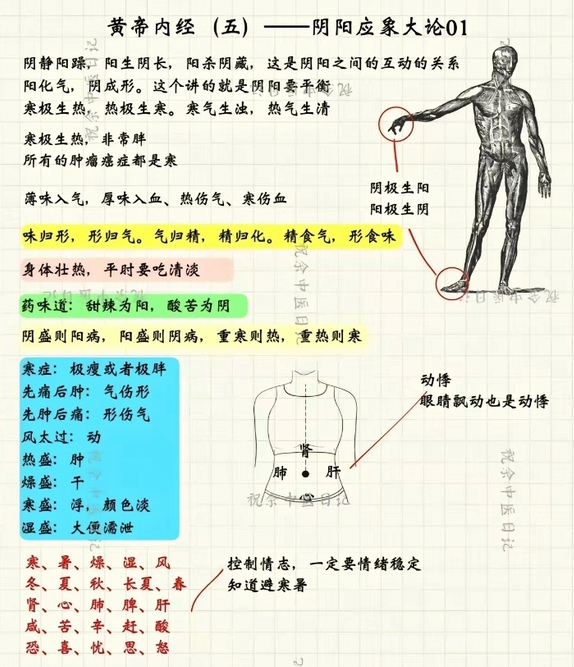 Mind Map of the Huangdi Neijing (Essential Content)