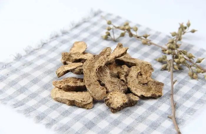 Traditional Chinese Medicine: Essential Knowledge About Cang Zhu (Atractylodes)