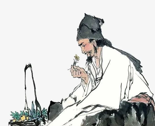 Comprehensive Guide to Dietary Remedies for Wind-Heat Cold in Traditional Chinese Medicine