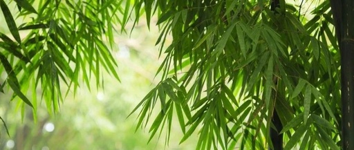 Insights on Treating Exogenous Diseases