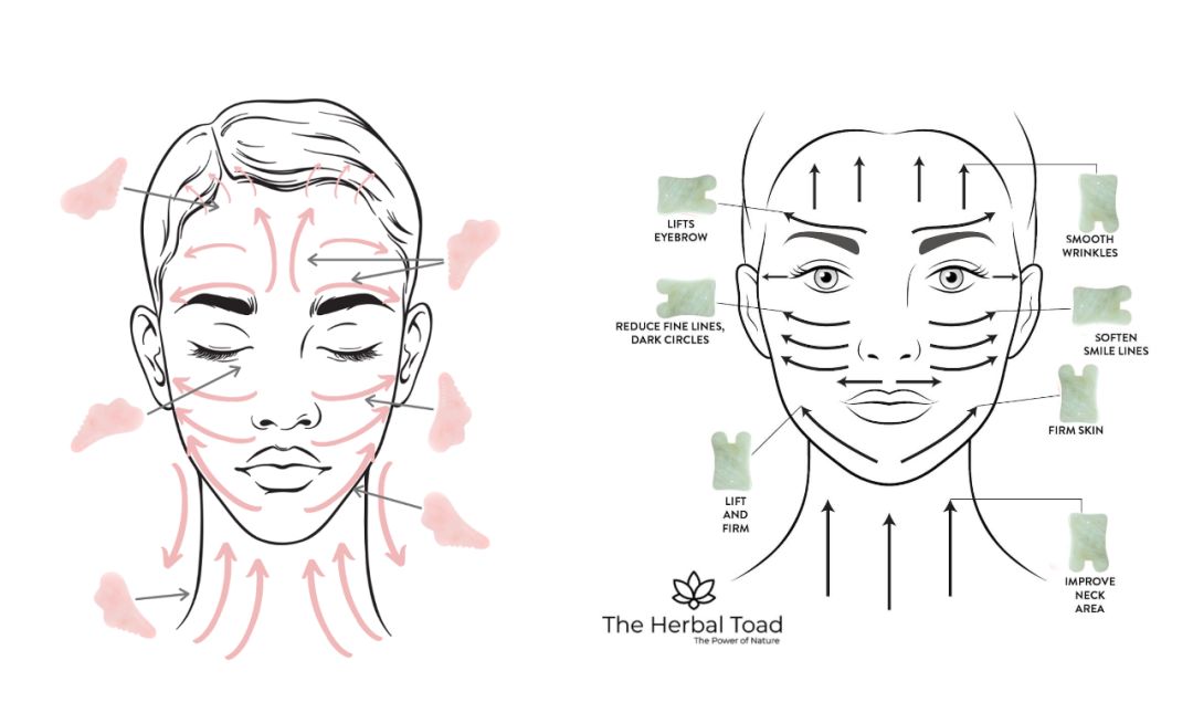 The Secret Gua Sha Technique of Celebrities for a Slim Face and Tight Skin