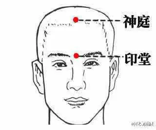 47 Unique Acupuncture Points Worth Seeing! (Collector's Edition)