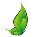 What Are the Specific Manifestations of Qi Deficiency?