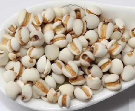 Learn About a Chinese Herb Every Day - Coix Seed (Yì Yǐ Rén)