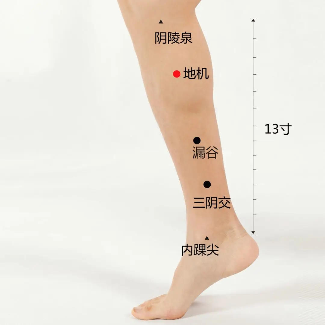 57 Practical Acupuncture Points Everyone Can Use