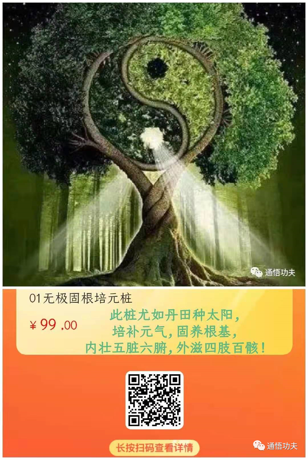 The Essence of Tai Chi: Following Nature's Way