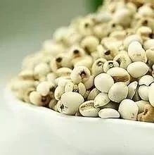 Understanding Different Constitutions in TCM: Qi Deficiency, Yang Deficiency, and Qi Stagnation